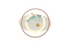 YUNUS PEMBE PLAFONYER 